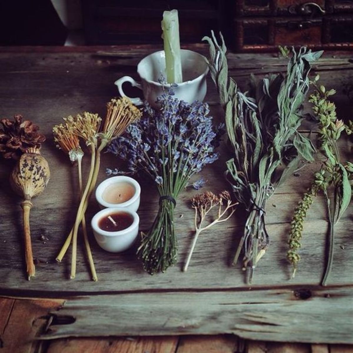 Introduction to Herbs for Witchcraft