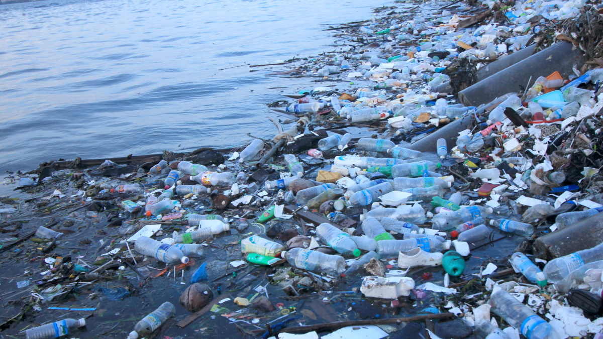 Plastic bottles are becoming a major source of pollution worldwide.