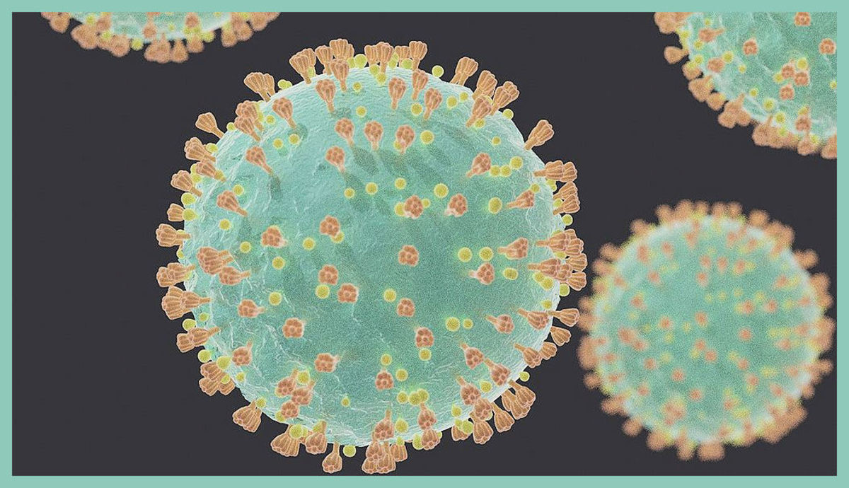 Pandemics Unleashed: Covid, Flu, Ebola, Plague, Marburg, Hantavirus, Rabies, Dengue, Anthrax, and Other Deadly Diseases