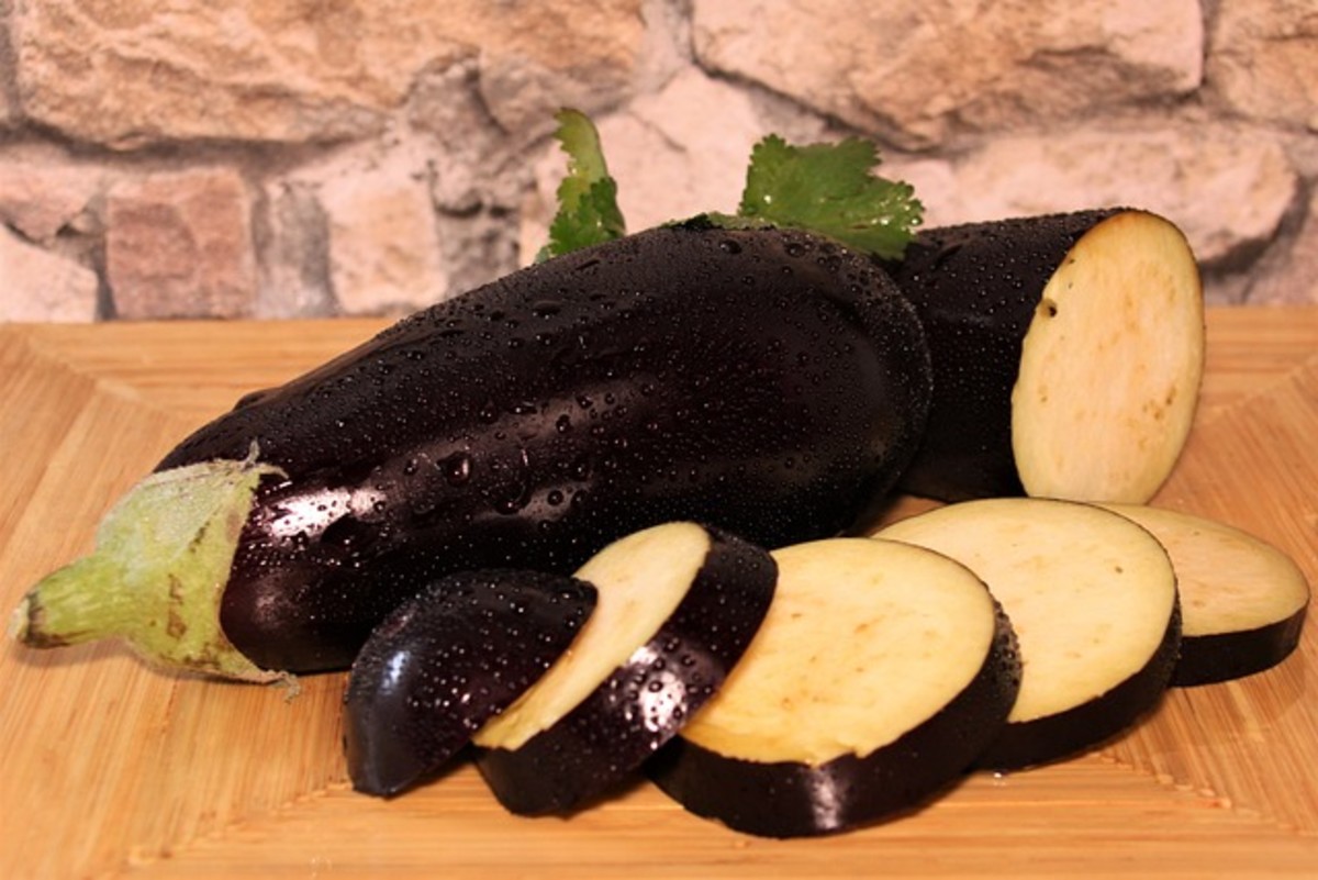 How to Grow Eggplant Successfully The Ultimate Guide Dengarden