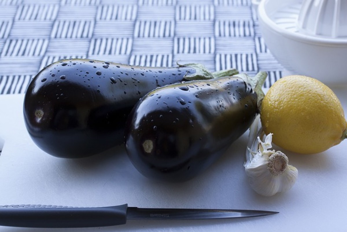 How to Grow Eggplant Successfully The Ultimate Guide Dengarden