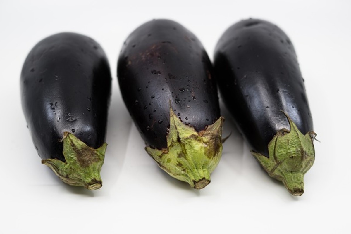 How to Grow Eggplant Successfully: The Ultimate Guide