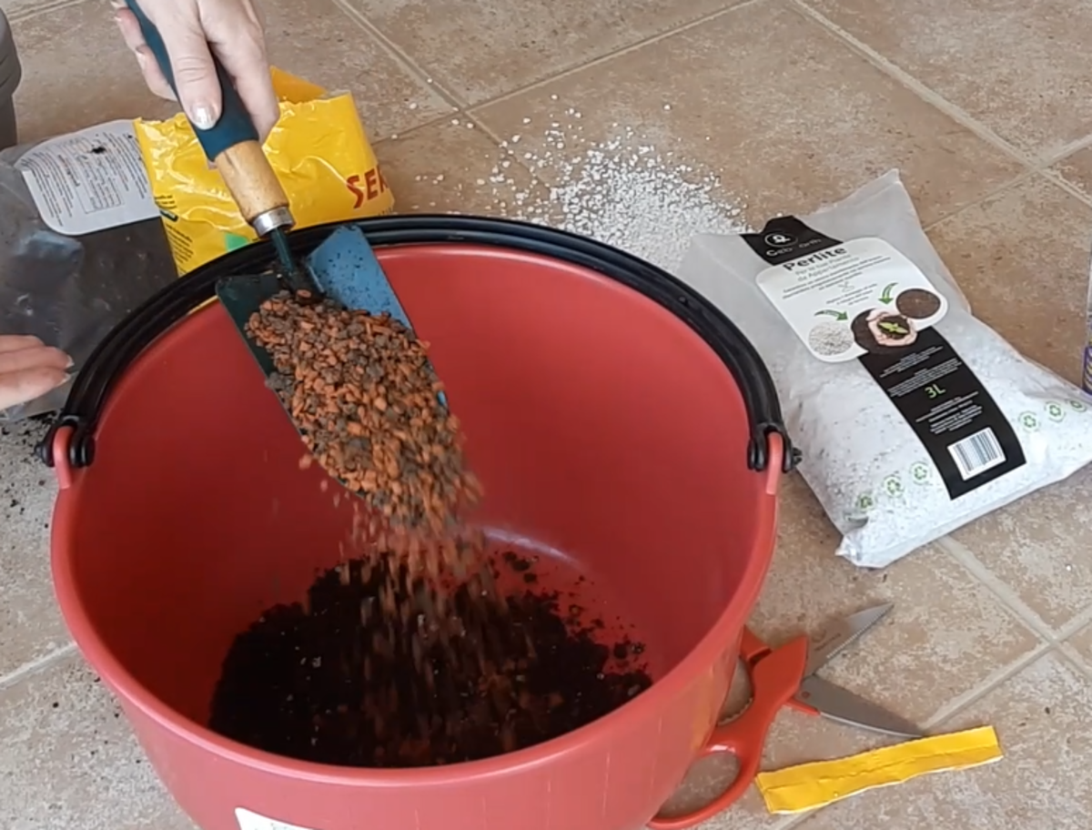 What's the Best Potting Soil for Geraniums (Pelargoniums)? Dengarden