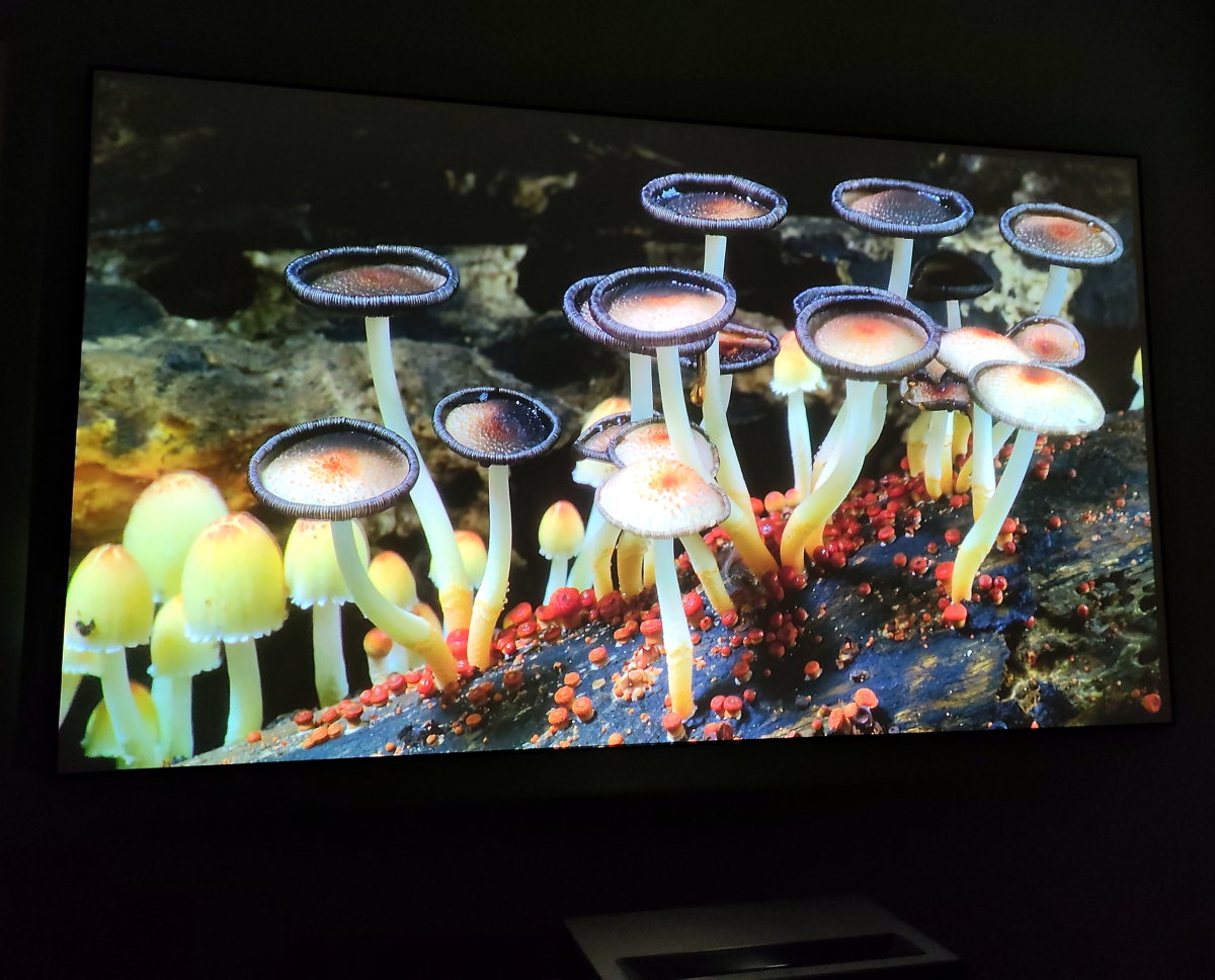 Why Do You Need a 4K Projector? Formovie Has the Answer - Formovie