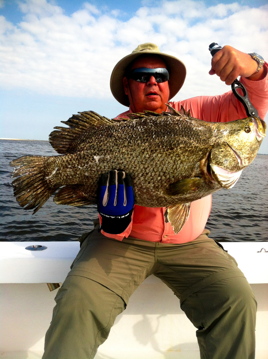 Tripletail Fishing: Tips and Tactics
