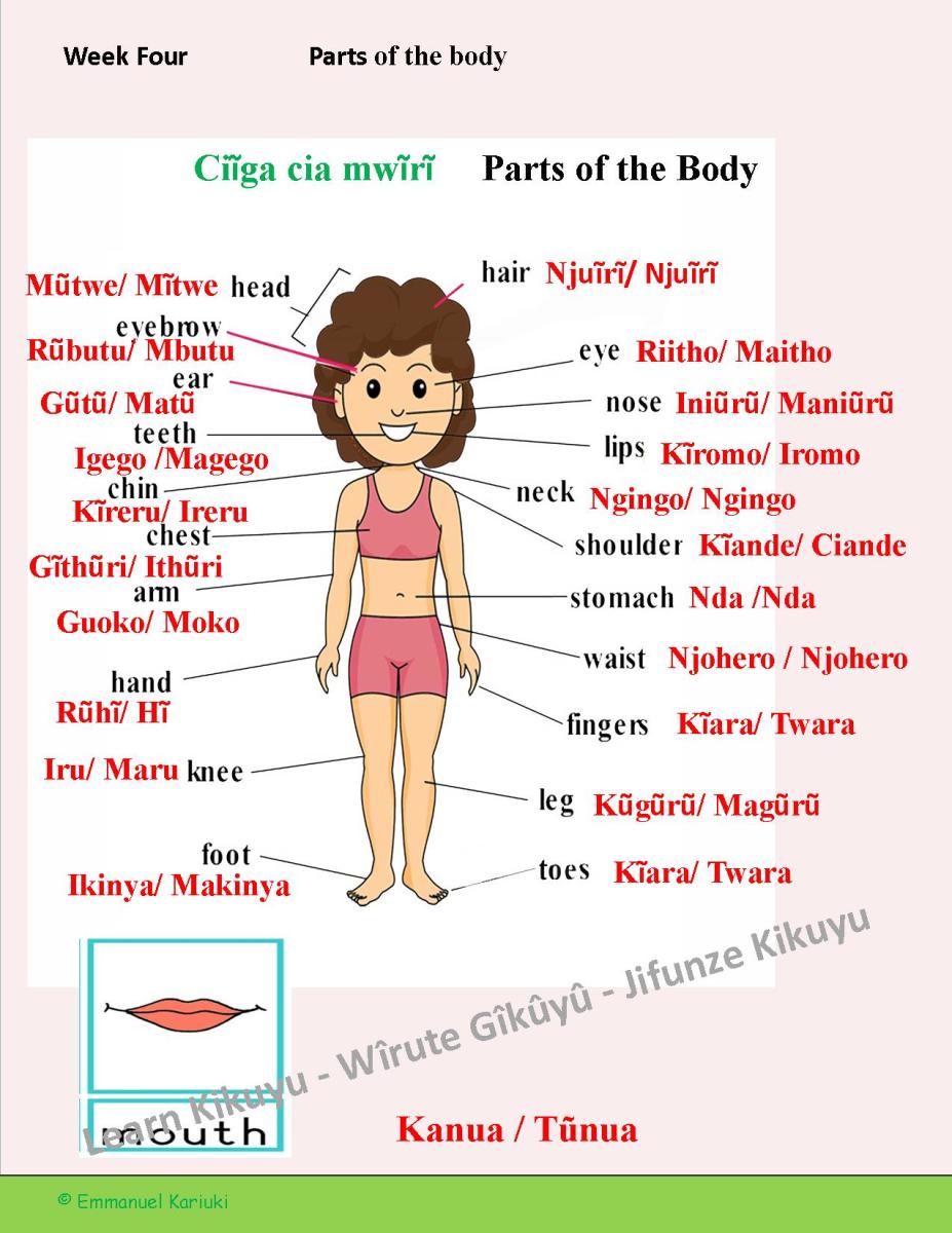 Kikuyu Language Online Vocabulary and Conversation Practice HubPages
