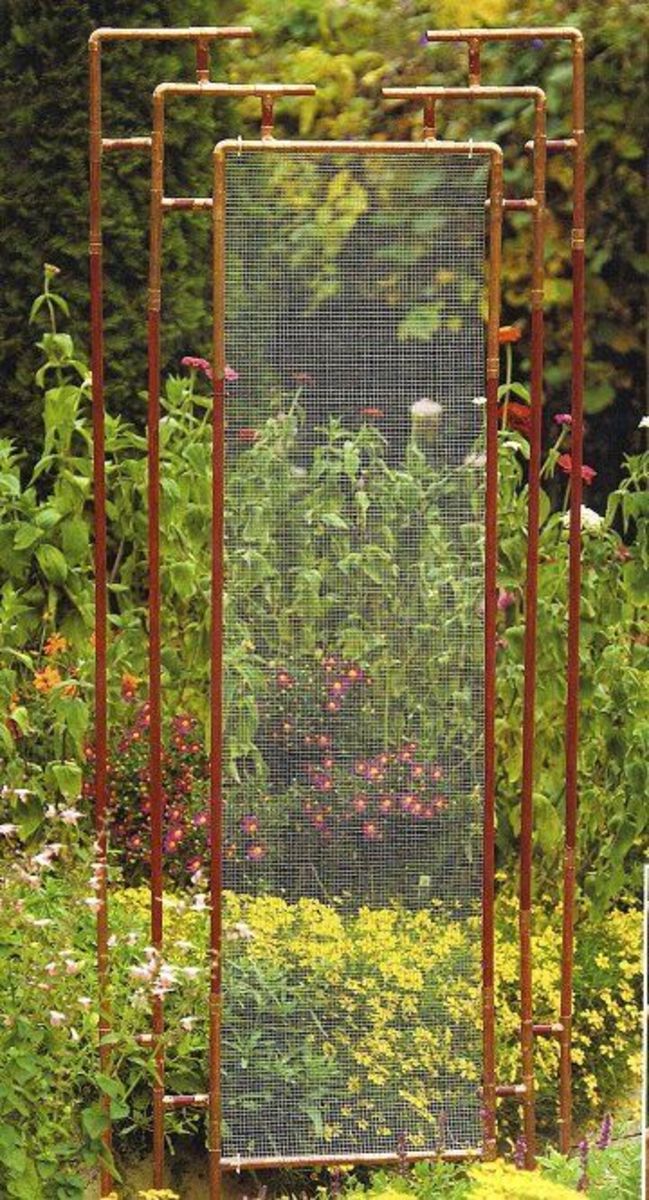 The Power and Pitfalls of Using Copper in the Garden