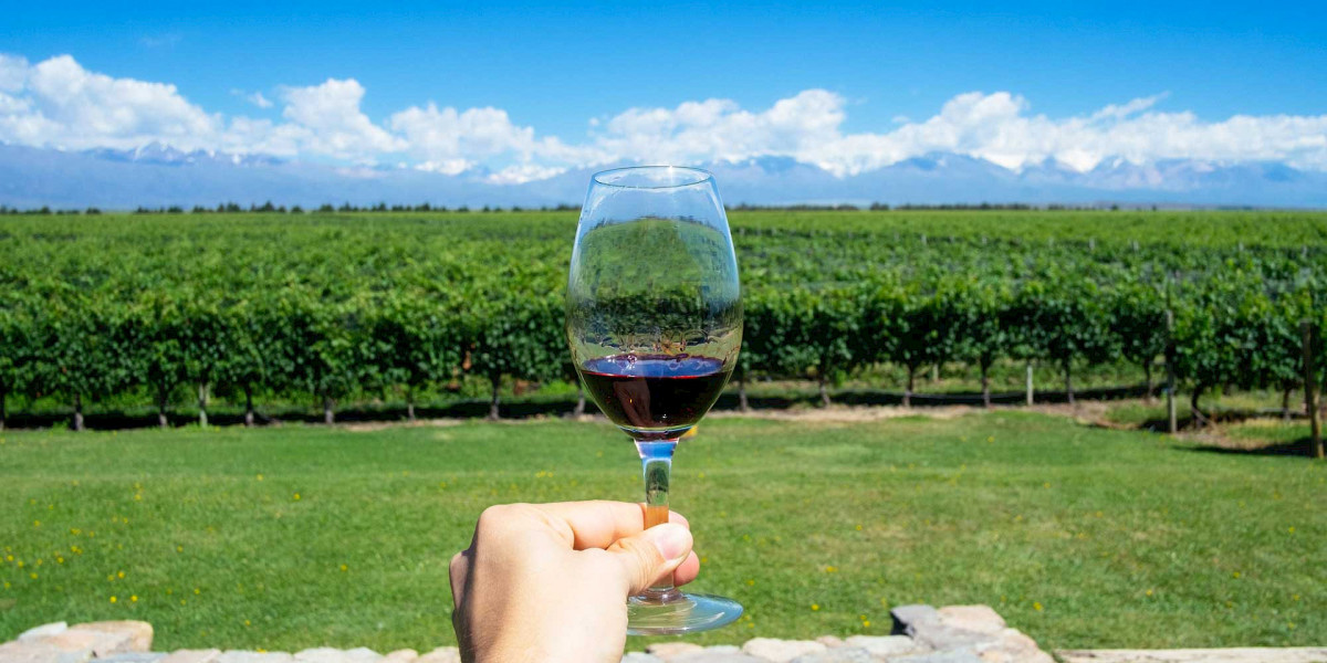 The Ultimate Guide to South America's Finest Wine Regions