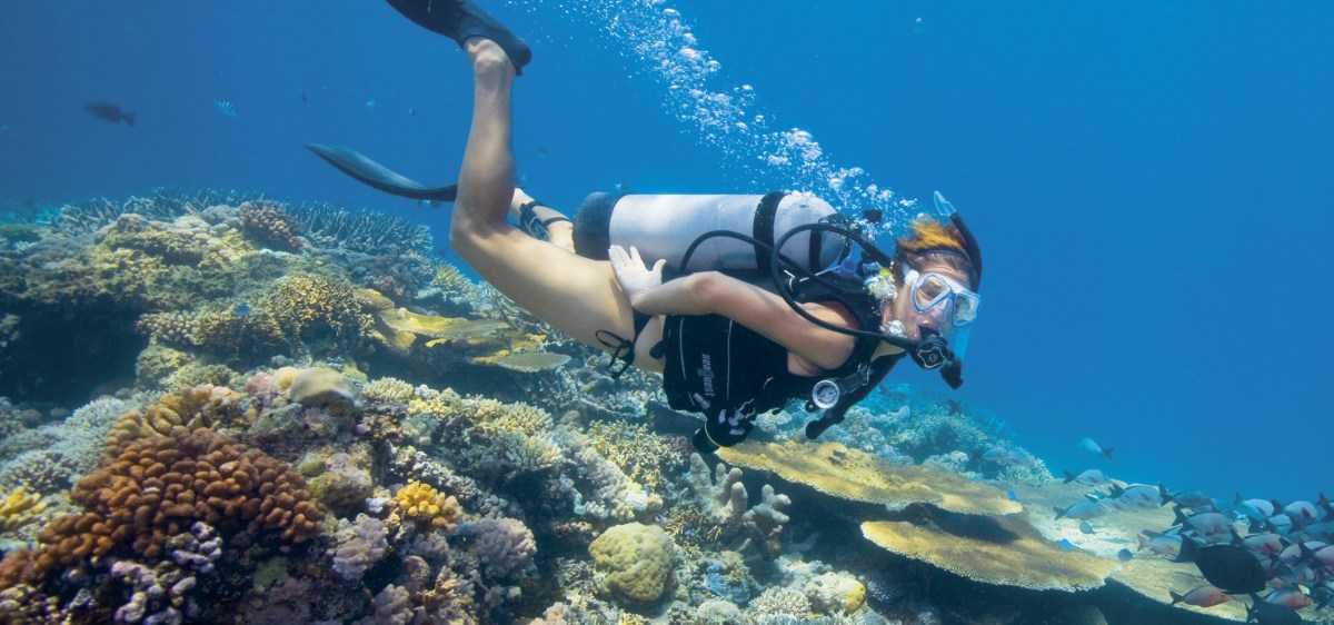 Coral Reef Diving in Australia