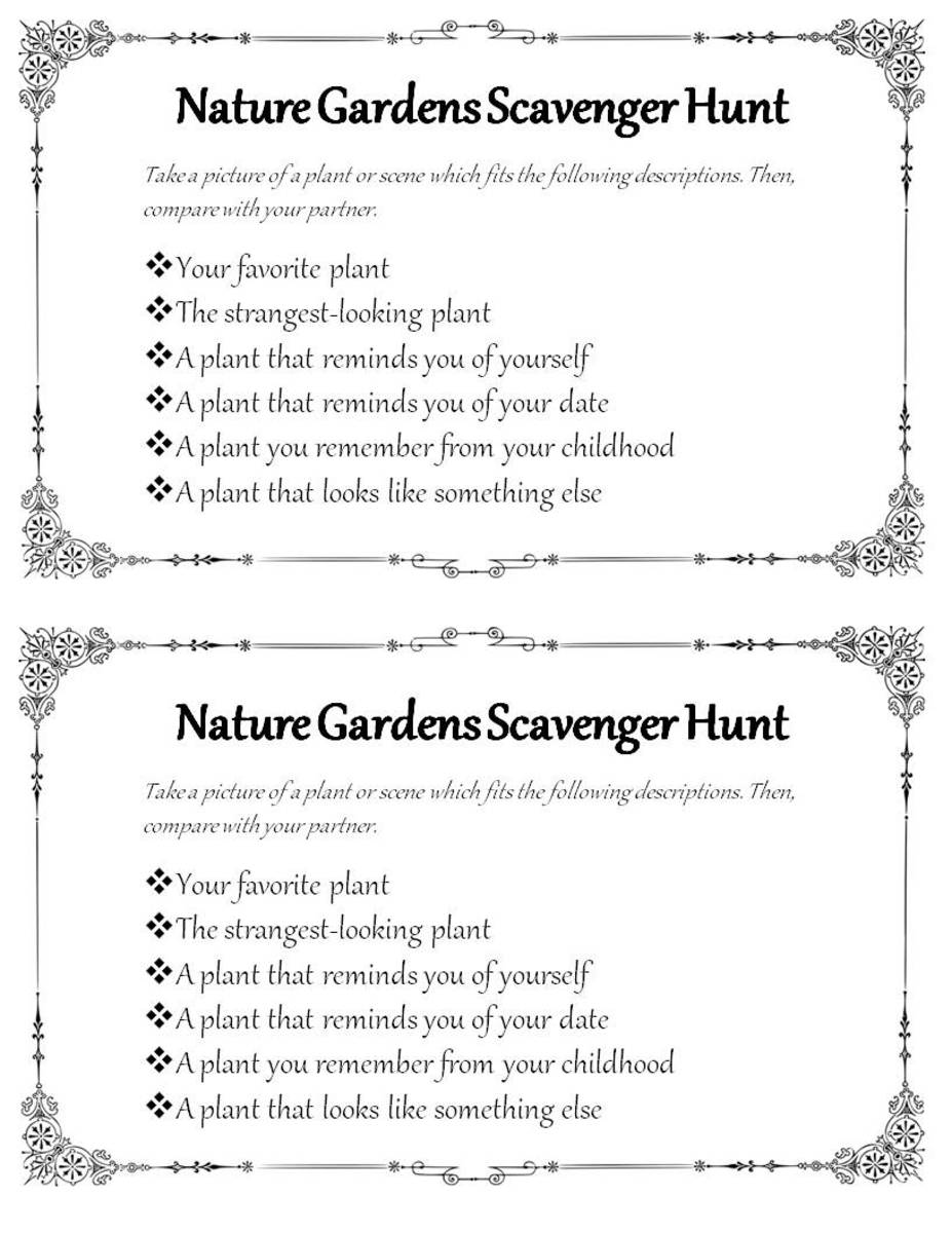 Ideas for a Novel Nature Gardens Date: Go Out-of-the-Ordinary and Out ...