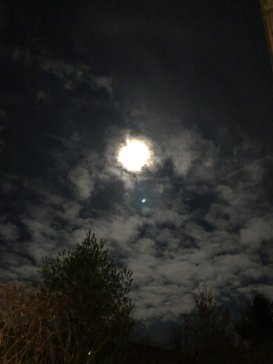 The Moon Looked Amazing Tonight