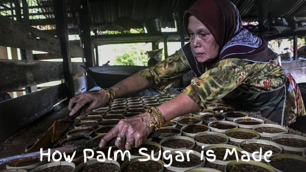 Real Benefits of Palm Sugar from Sugar Palm Trees HubPages