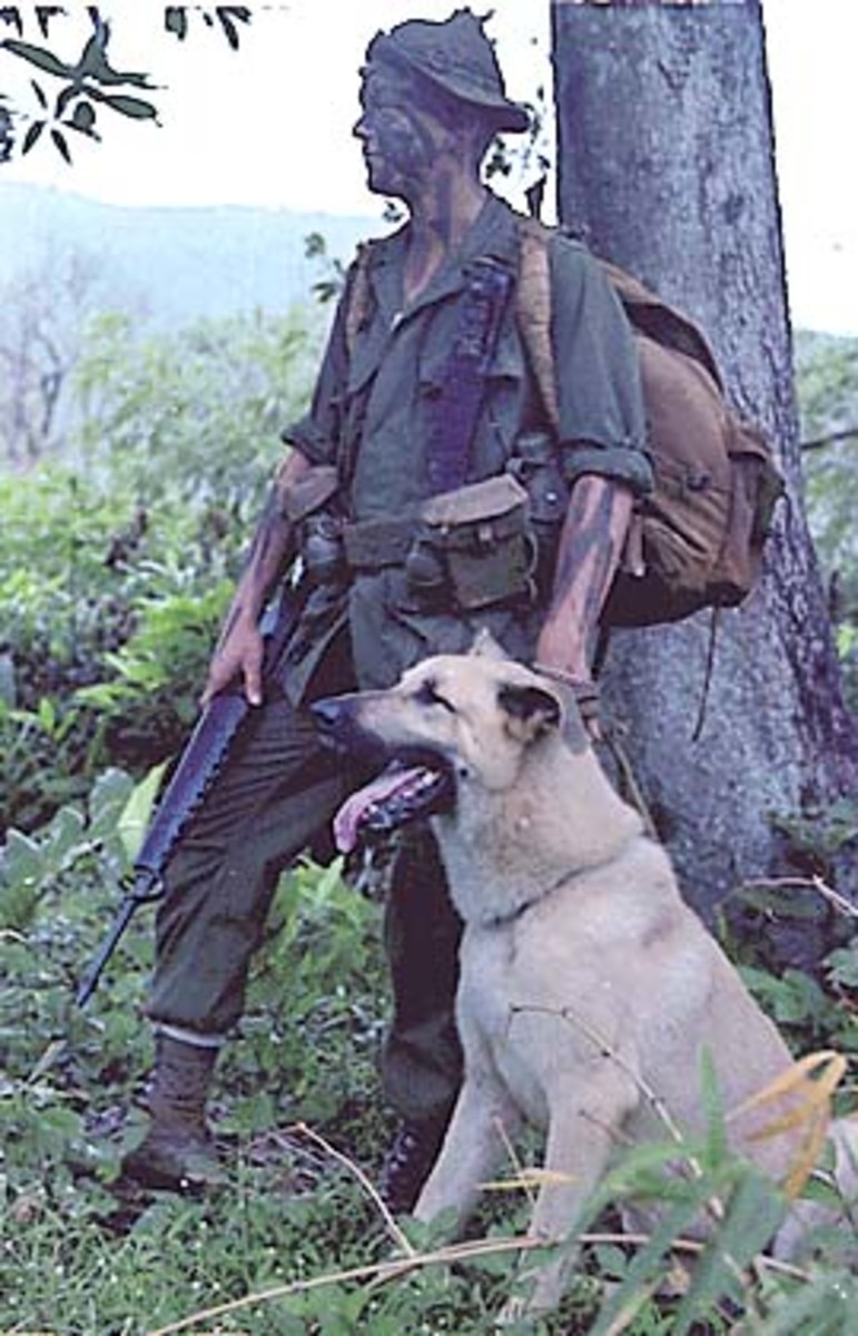 News, Vietnam Military Police Sentry Dog Alumni