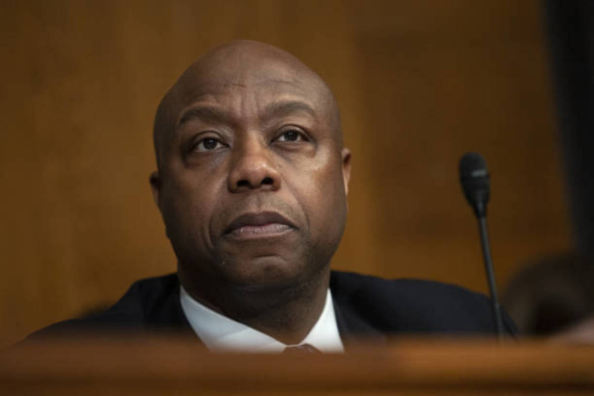 Is There Room in the Gop for Racial Diversity? - the Tim Scott Dilemma