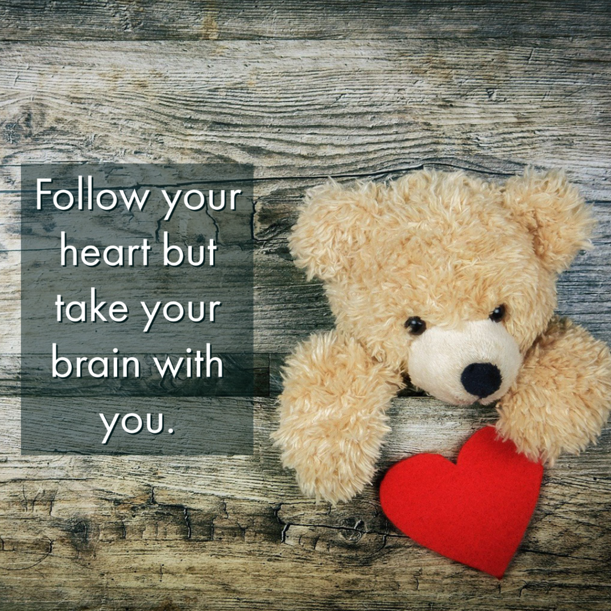 Hand written love quote calligraphy Stock Vector by ©yellowpixel 177046908, image size:1200x1200