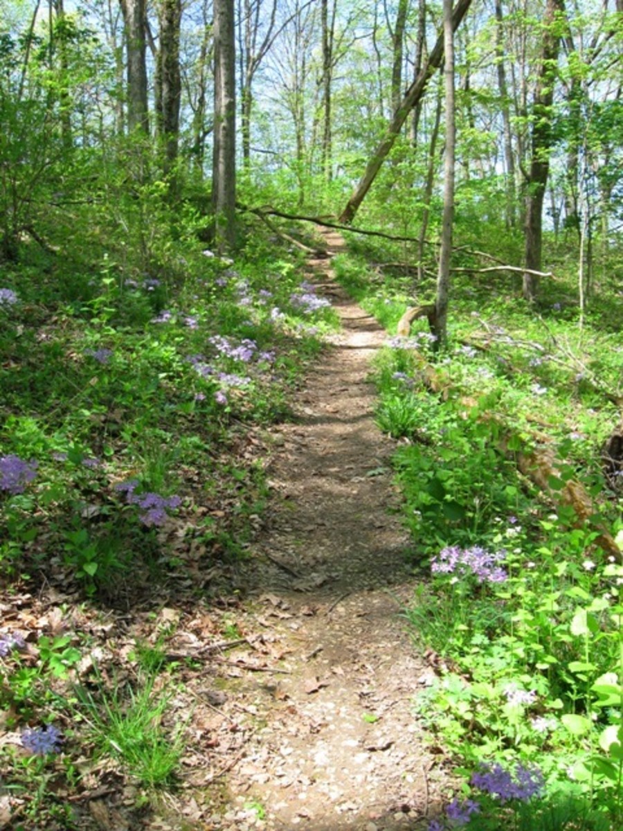 Versailles State Park HubPages