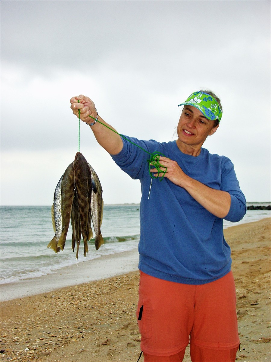 Coastal Whiting Offer a Fishing Treat