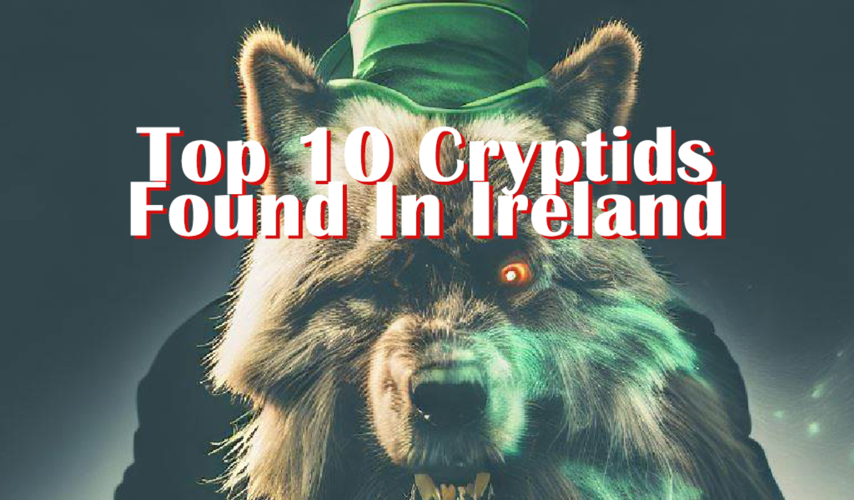 Top 10 Irish Cryptids