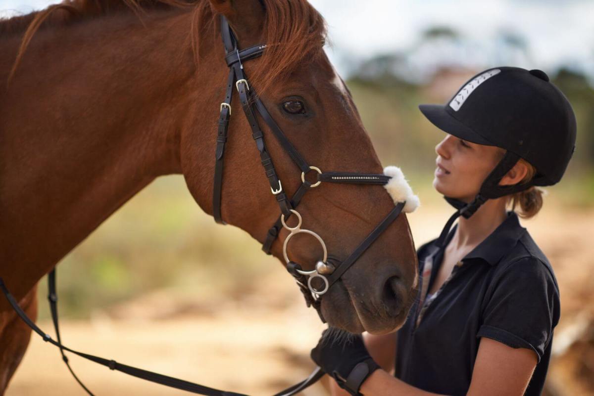 How to Get Your Horse Ready for Horse Riding Championships and Races