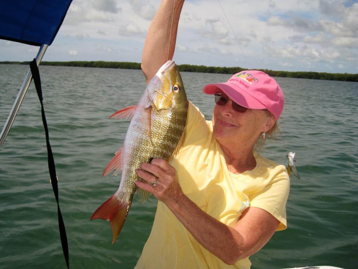 Fishing in a Chum Line