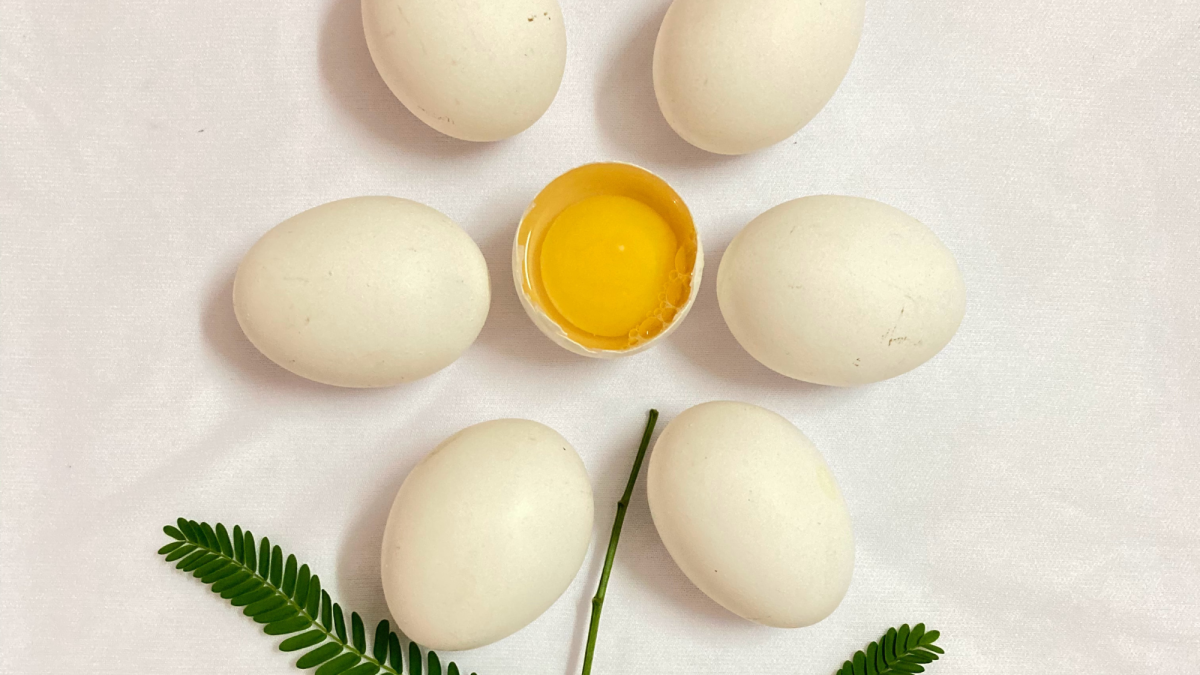 DIY: Egg White Face Mask Recipes for Beautiful Skin