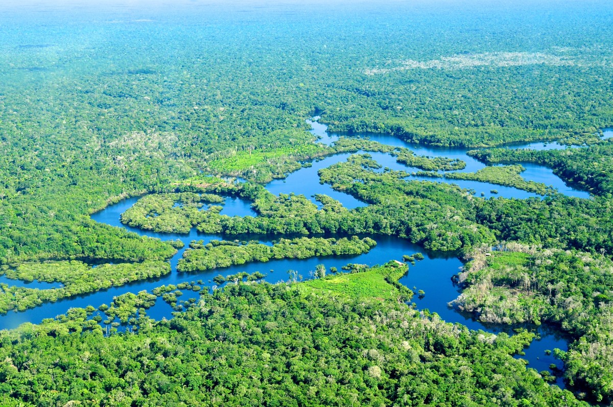South America's Extraordinary Wildlife: Part 1 - The Amazon
