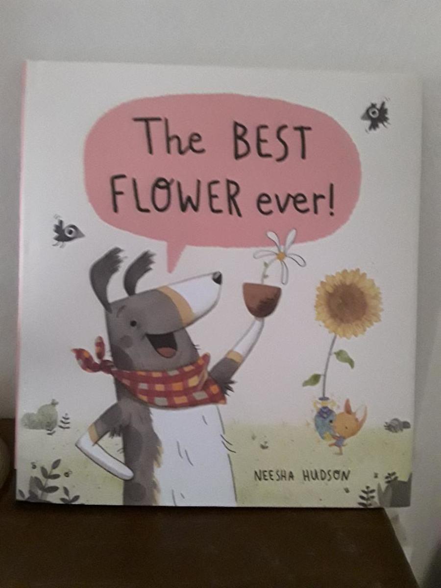 Appreciation for What You Have in Delightful Picture Book and Story for Ages 4-8