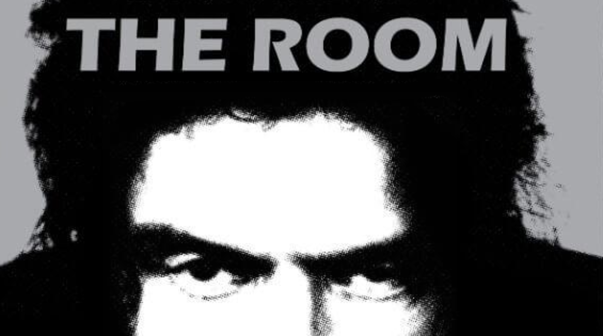 The Room (2003 film) Retrospective Review
