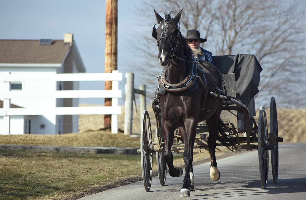 The Amish Community: Sexual Abuse and Other Sins