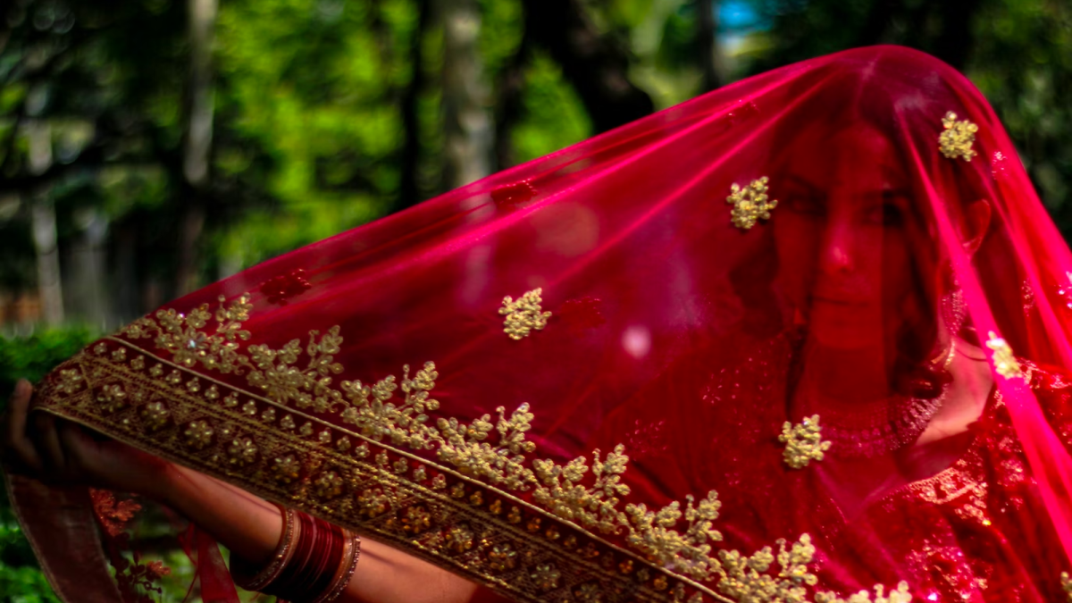 Different Types of Banarasi Sarees (With Pictures)
