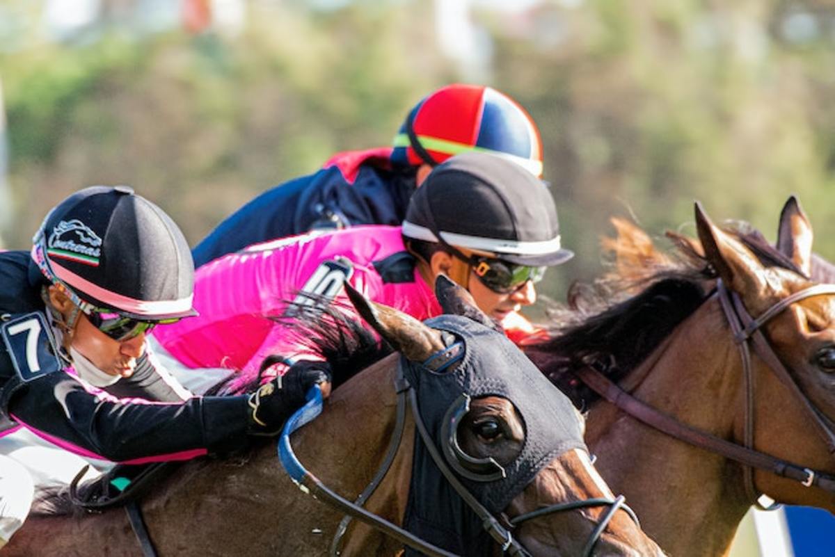 11 Best Racehorses in History