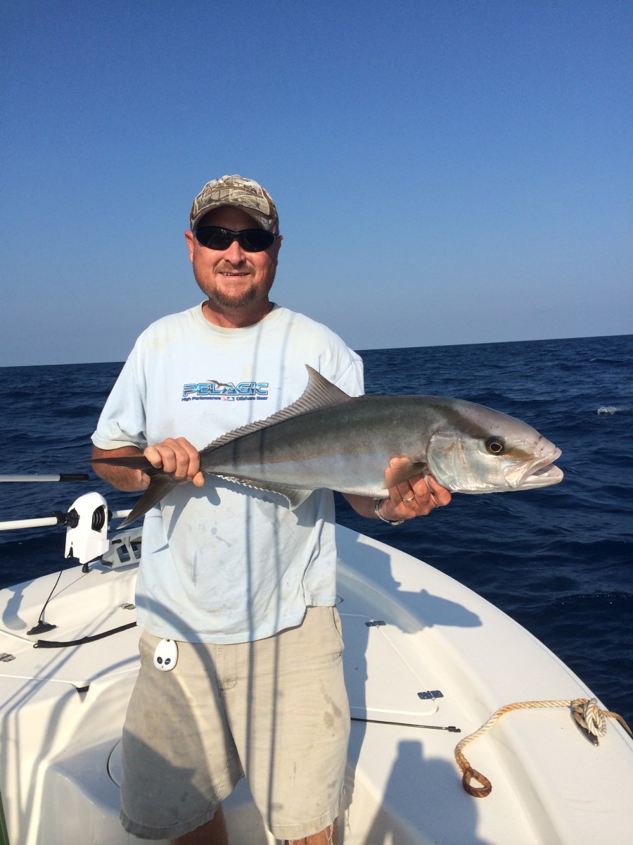 Tips for Catching an Amberjack - HubPages