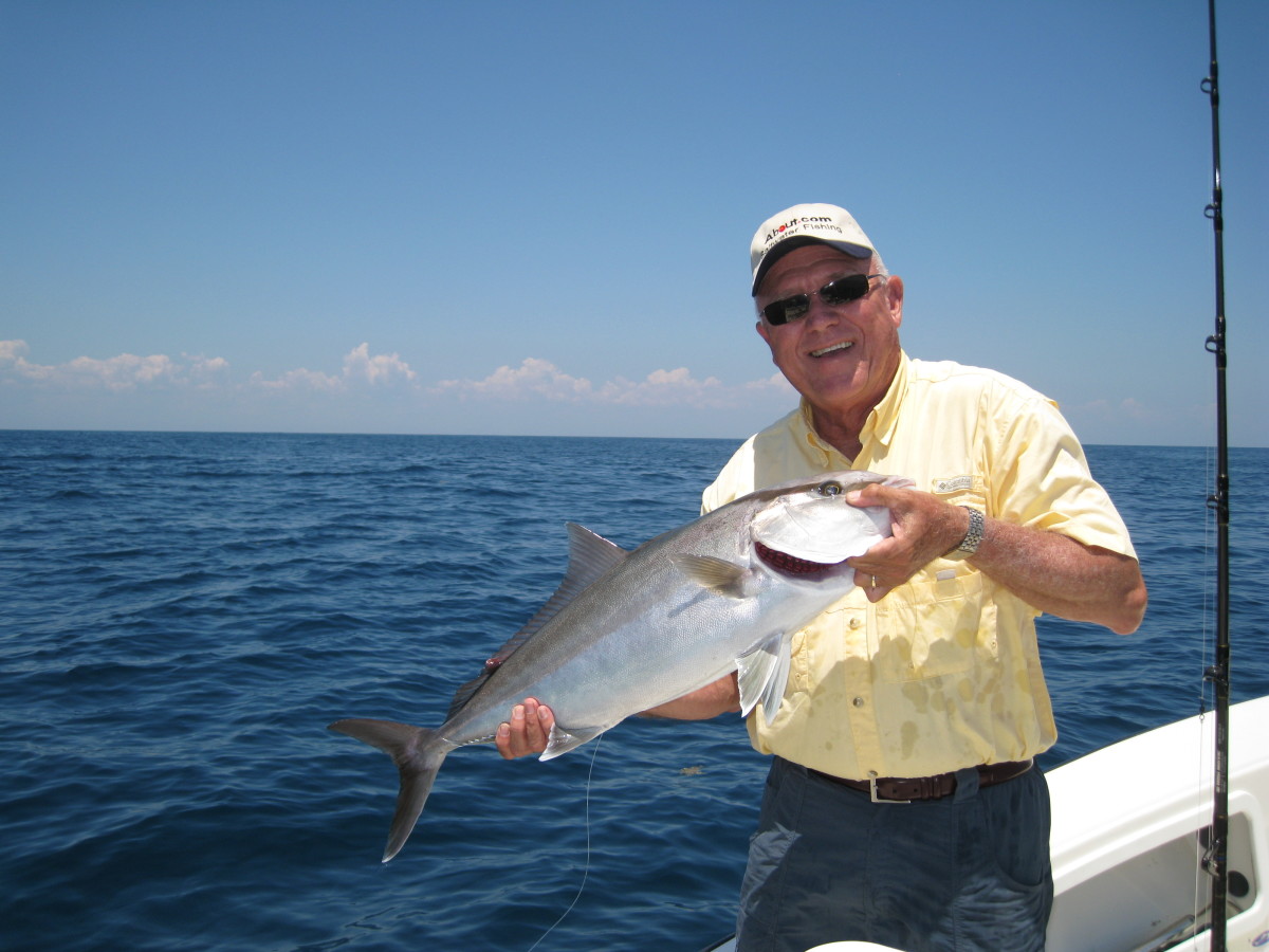 Tips for Catching an Amberjack