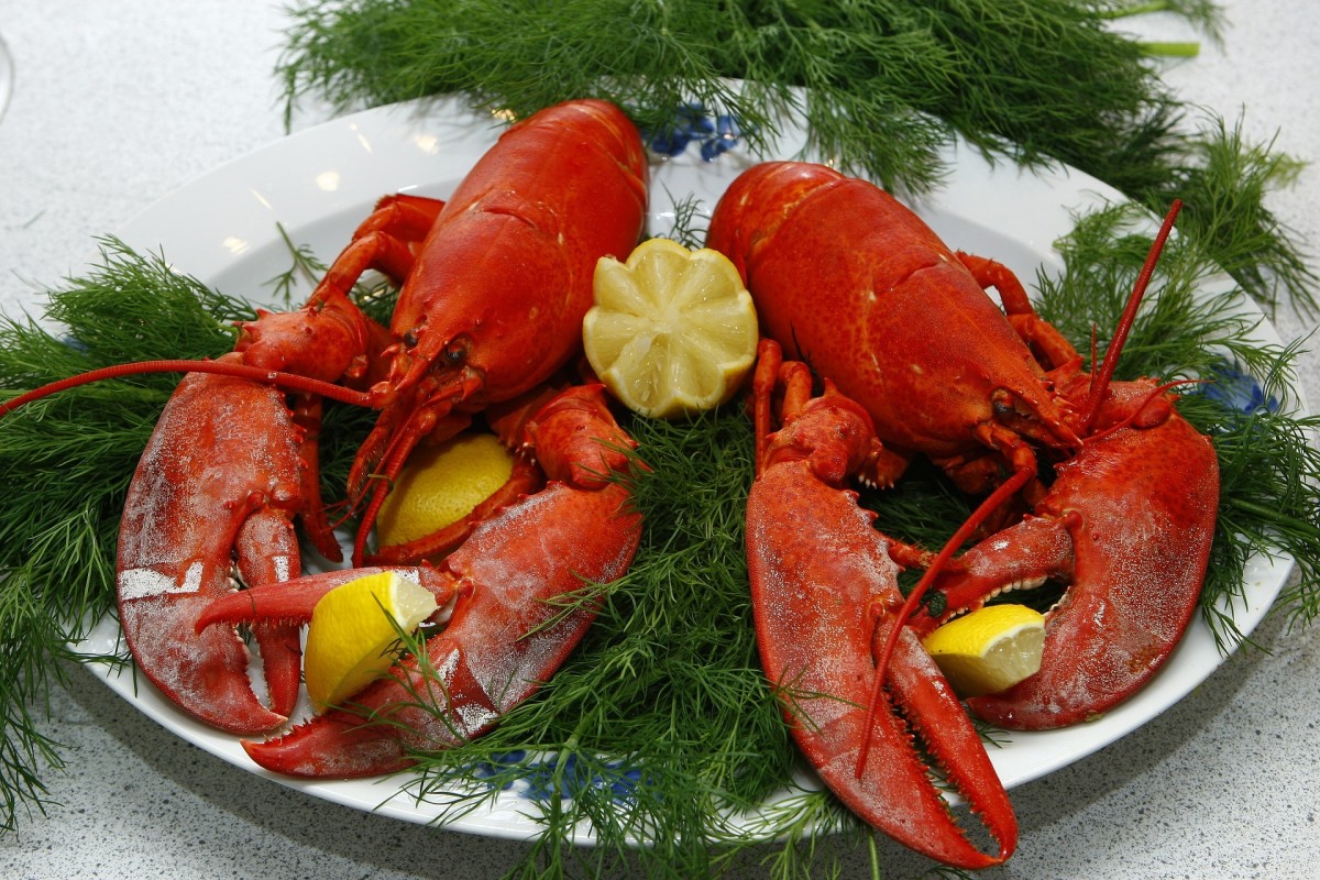 How to Buy Live Lobster Online (Plus Simple Recipe)