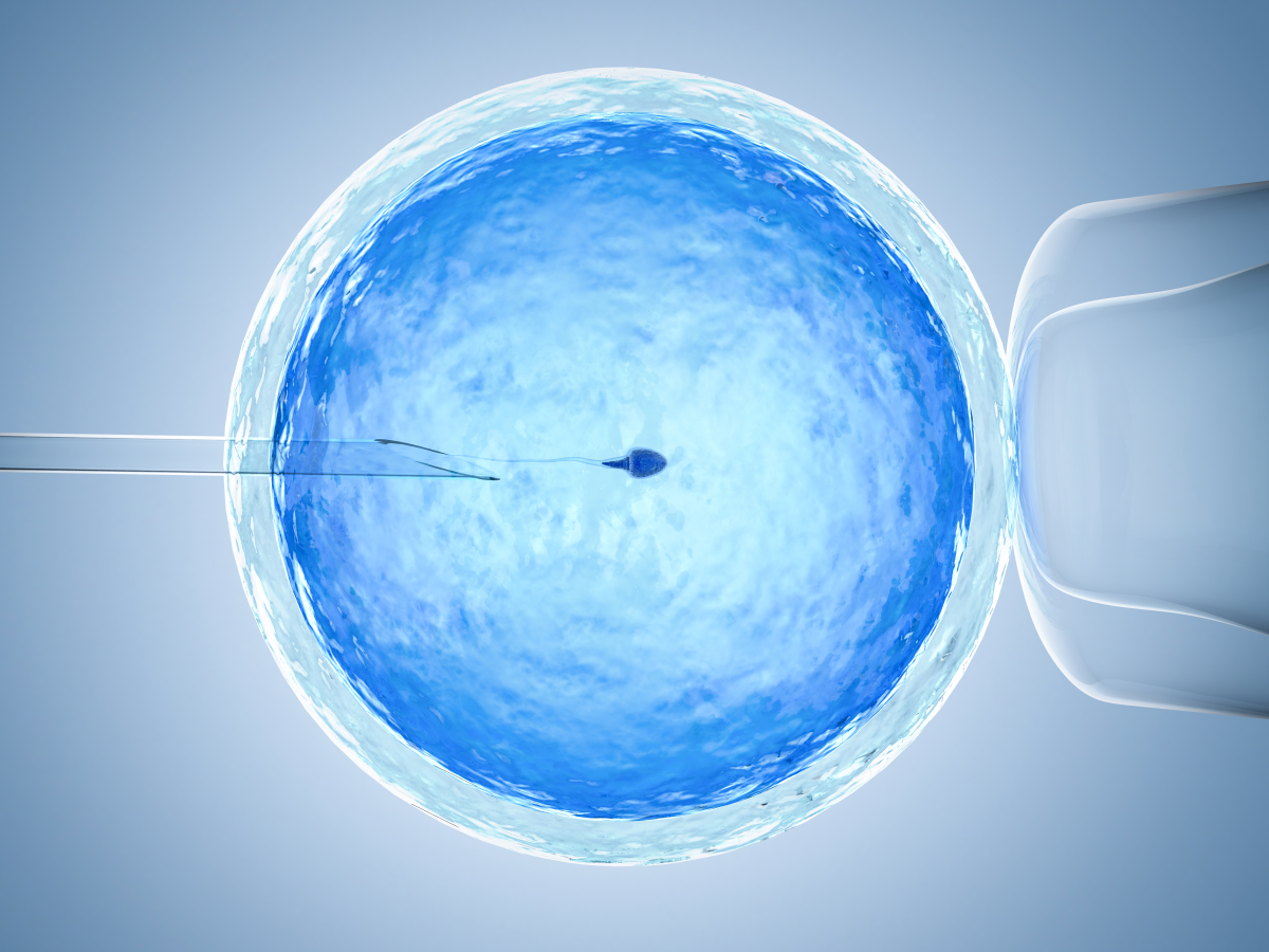 What to Say to Someone Going Through IVF