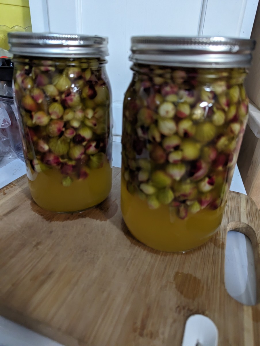 Pickled Egyptian Onions Using Mrs. Wages HubPages