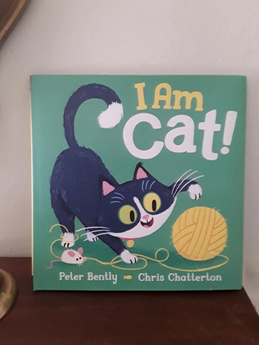 Cat Personalities and Activities Featured in Adorable Picture Book and Story for Young Readers