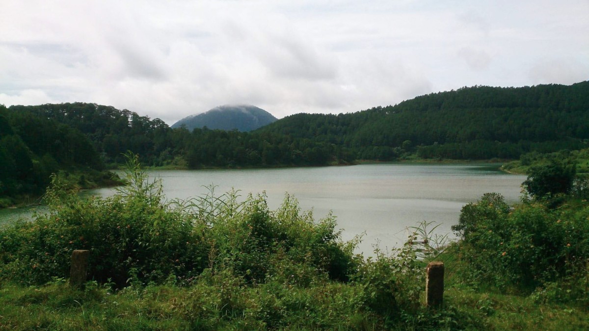 Da Lat - Halfway to the Heaven - HubPages