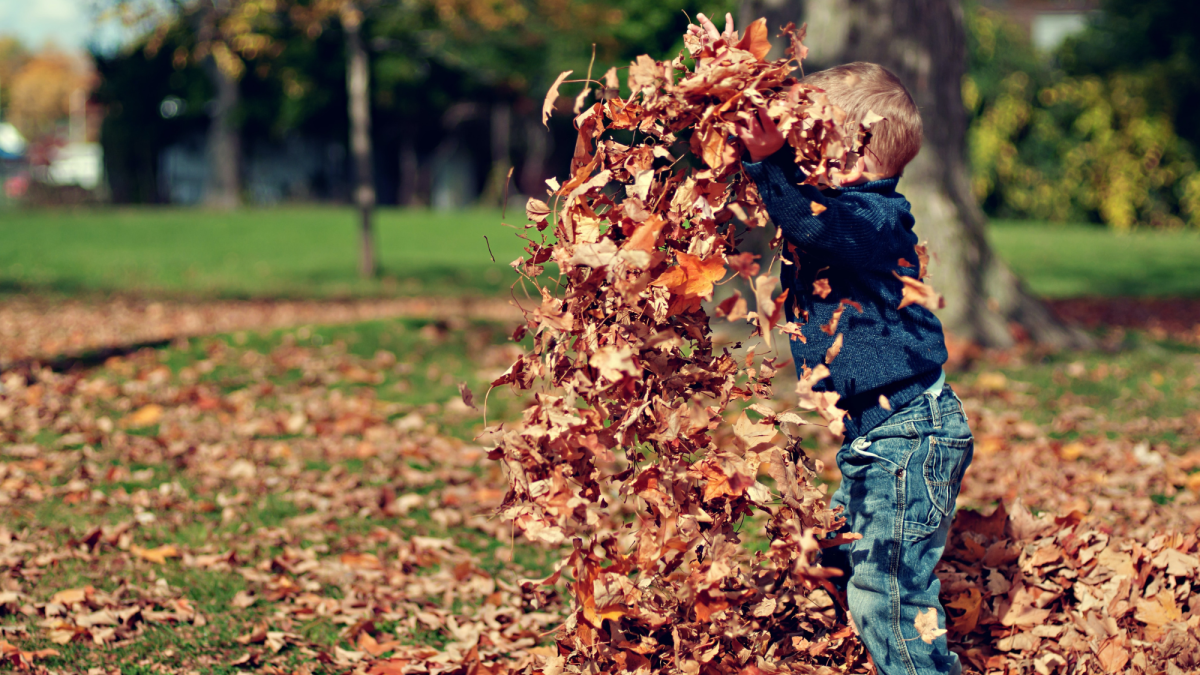 Fun Fall Activities for Kids of All Ages