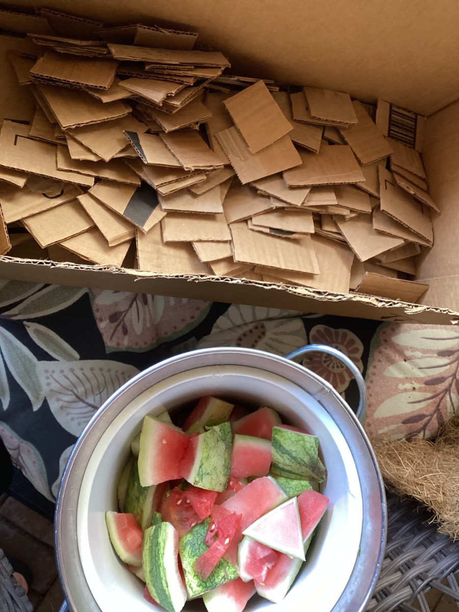 Five Basic Composting Tips - HubPages