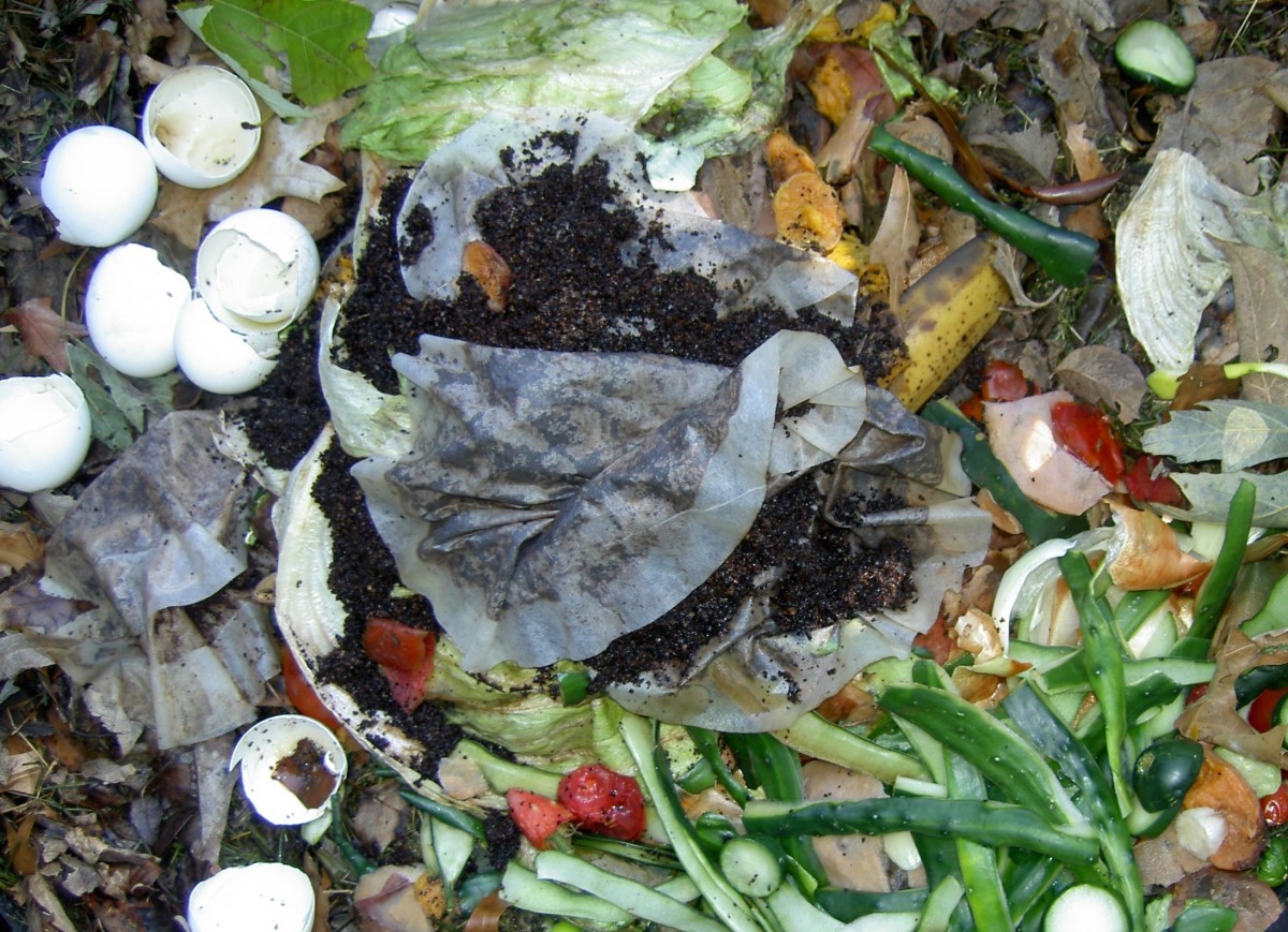 Five Basic Composting Tips