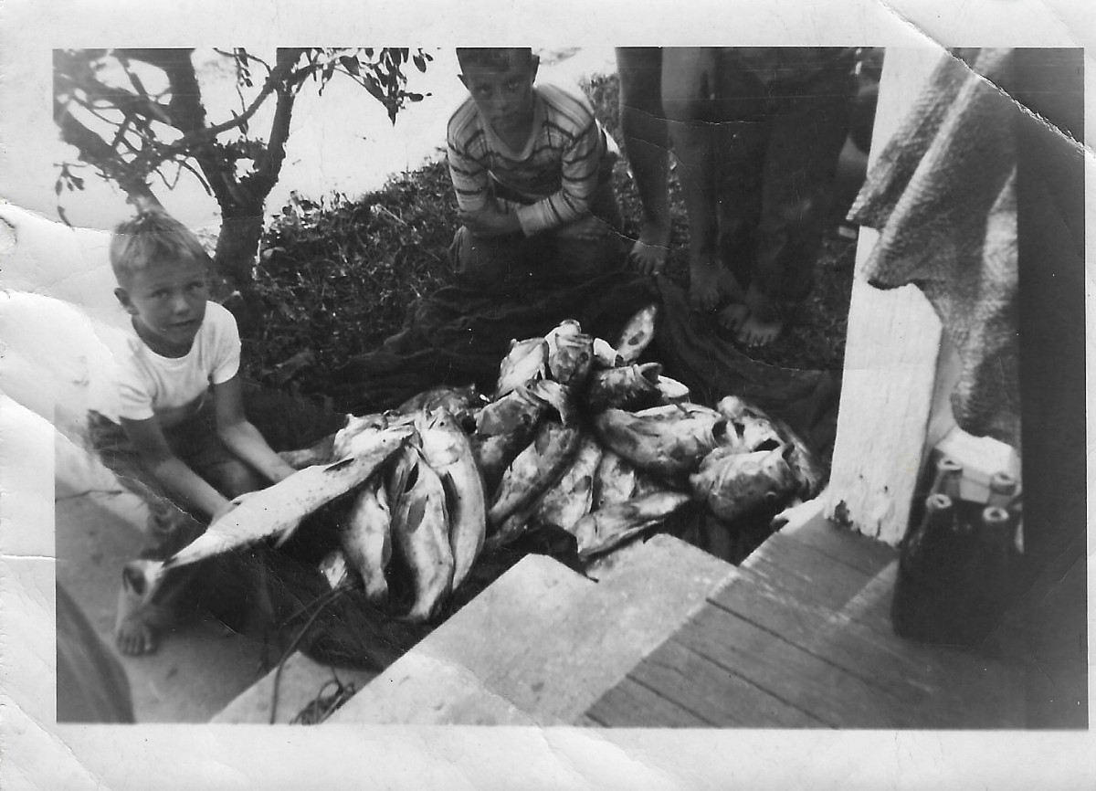 Catching Grouper Before Bag and Size Limits