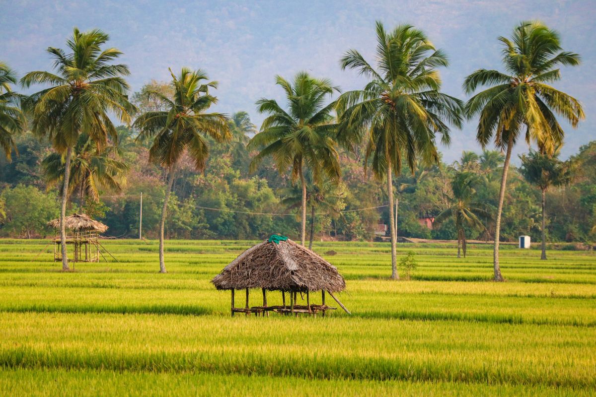 Best 5 Travel Destinations in Kerala