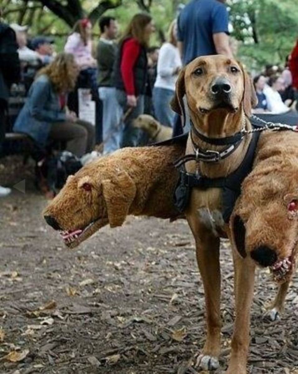 27 Barkin' Awesome Pet Costumes That'll Level Up Your Pet's Halloween Game