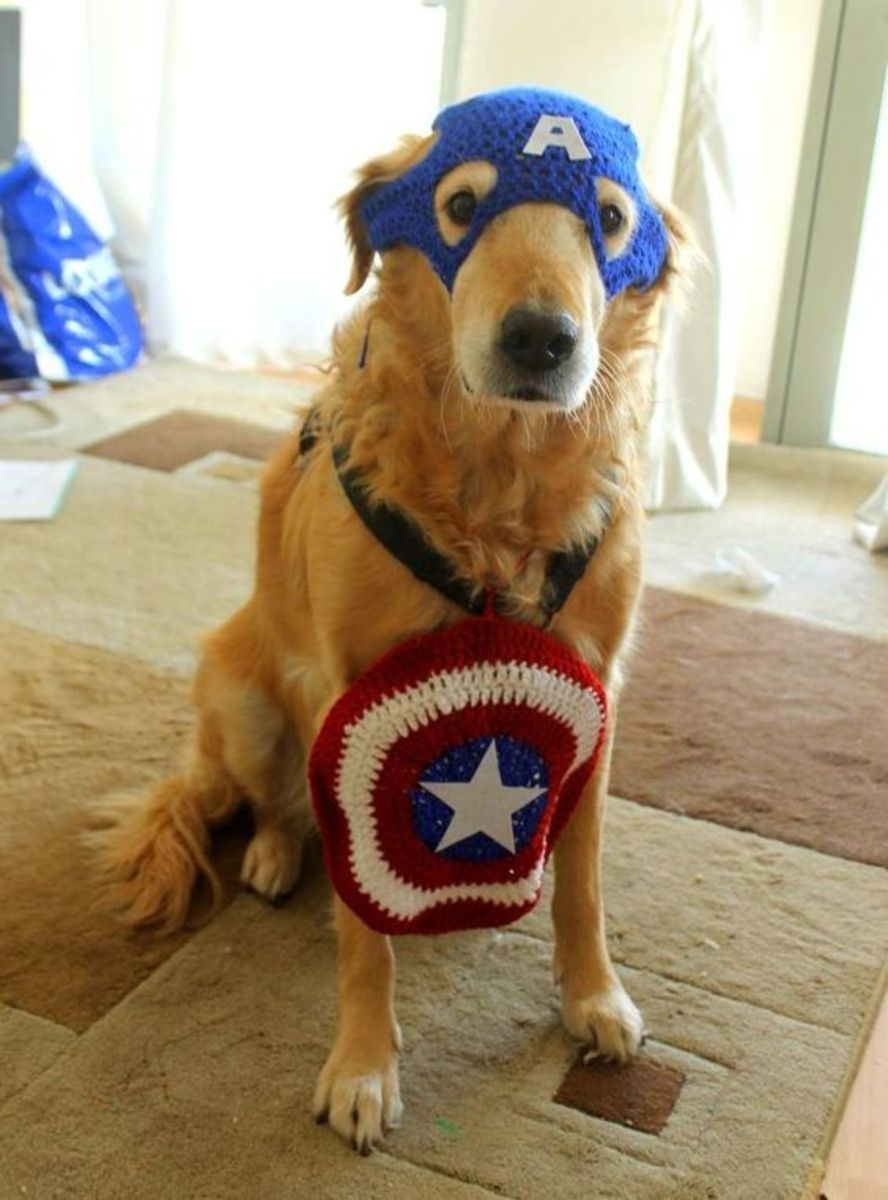 Captain America Dog & Cat Costume - Pet Costume Center