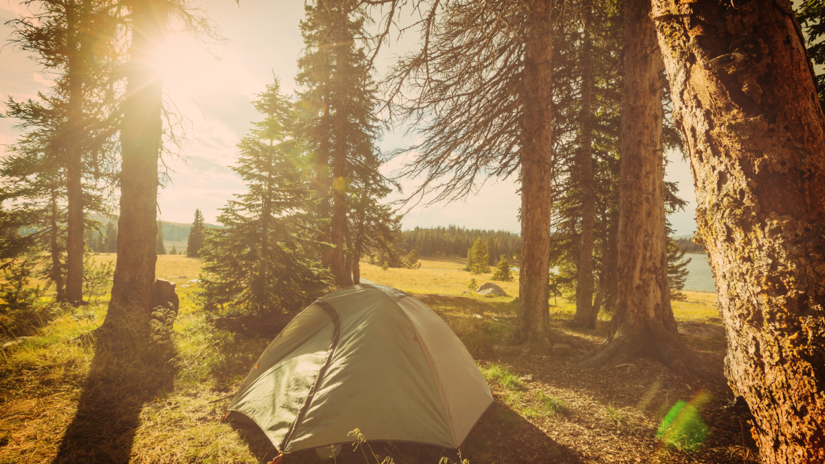 Tent Camping Checklist: What to Take on a Camping Trip