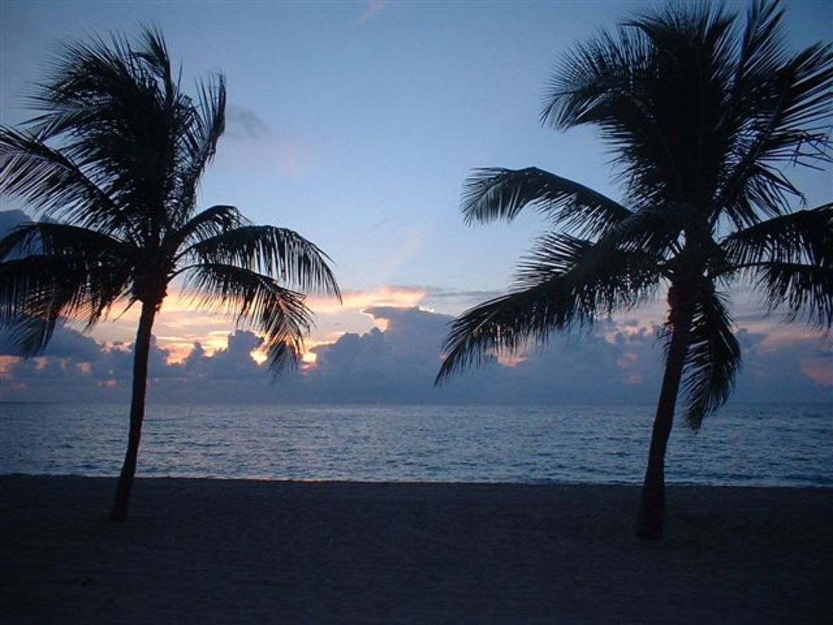 Miami and Fort Lauderdale for Business and Jobs HubPages