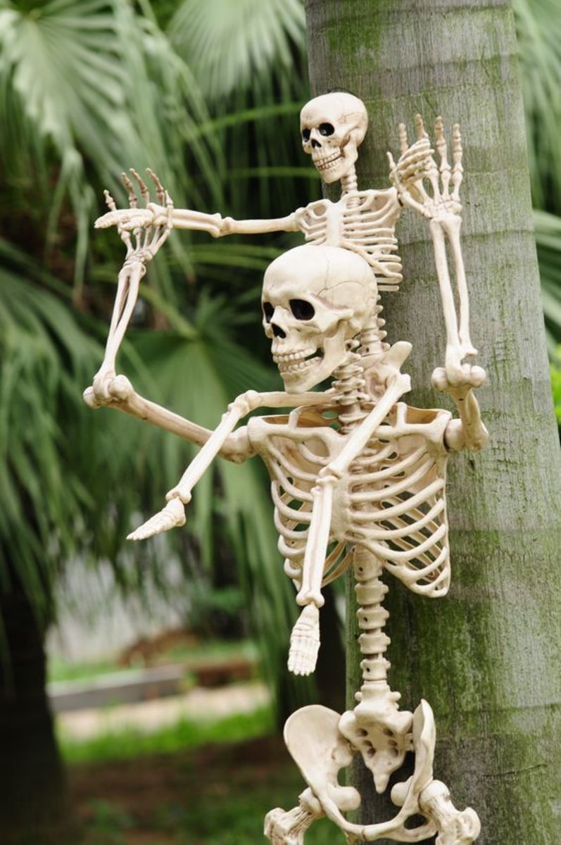 20+ Spooktastic Skeleton Halloween Decoration Ideas for Front Yard