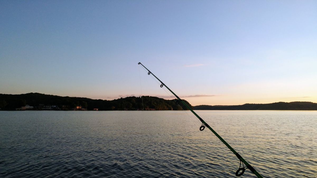 Ozarks Trout Fishing: Helpful Tips for Newcomers