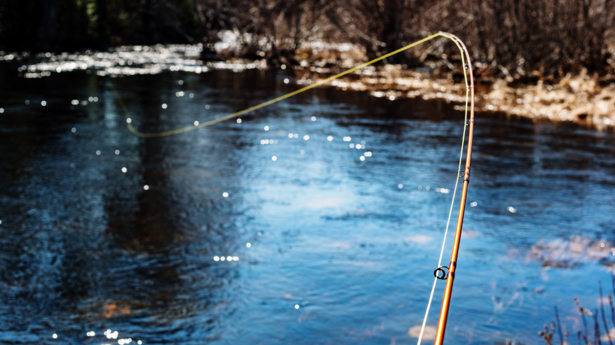 Fly Fishing for Women: A Beginner's Guide to Fly Fishing